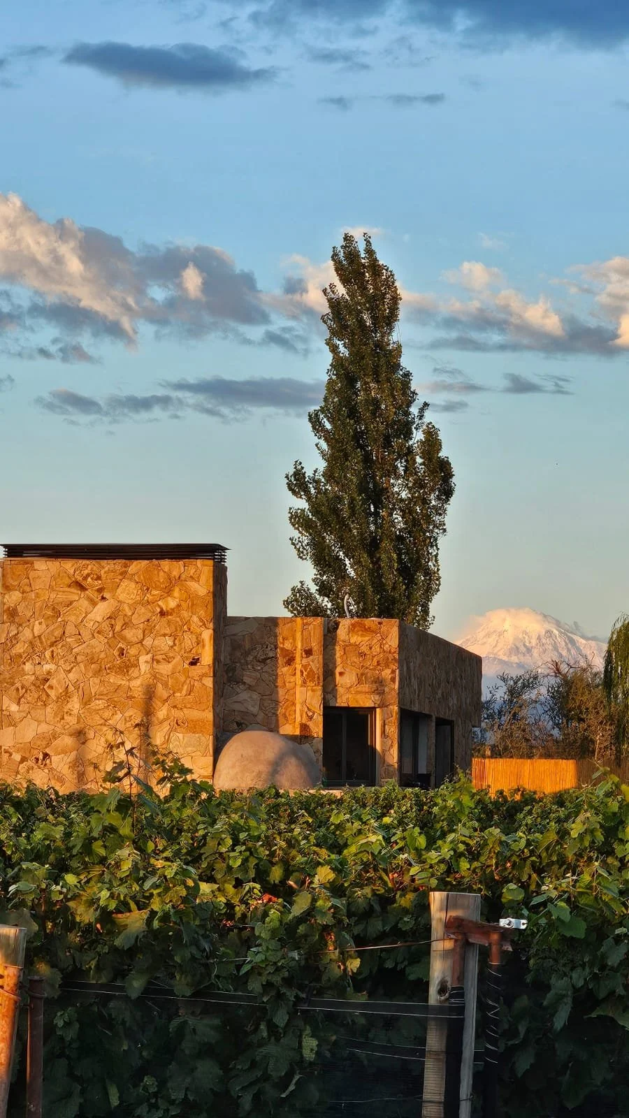 Casa de piedra con ventanales, un árbol grande, el viñedo y la montaña de fondo, al atardecer.